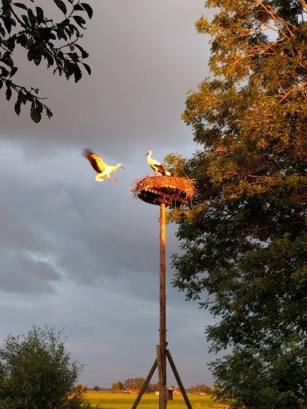 Achterhuis Hamingen Staphorst Exteriér fotografie